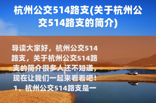 杭州公交514路支(关于杭州公交514路支的简介)