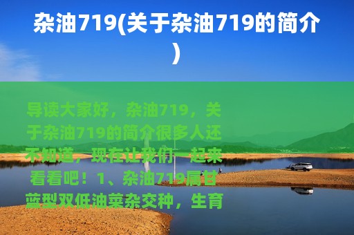 杂油719(关于杂油719的简介)