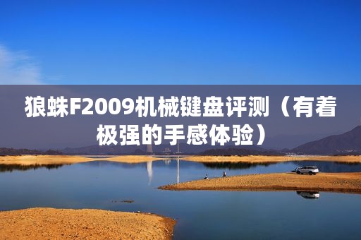 狼蛛F2009机械键盘评测（有着极强的手感体验）