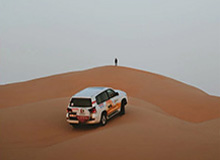 高校毕业生就业创业政策服务指南“口袋书”，请收好！