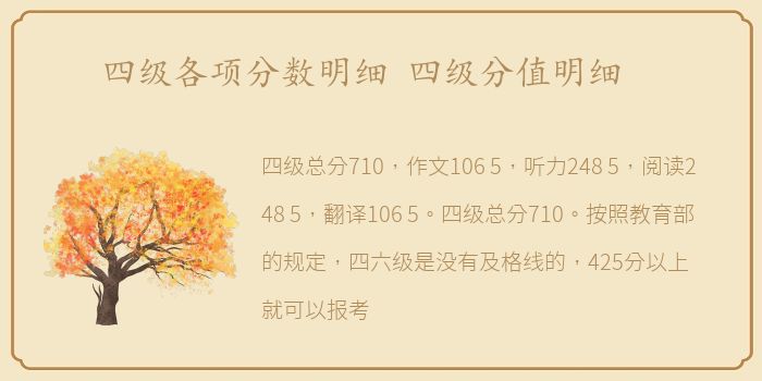 四级各项分数明细 四级分值明细