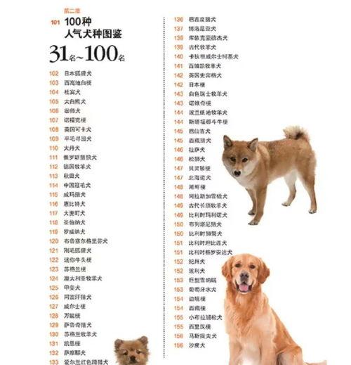 大型犬都有那些品种？（大型犬类品种大全）