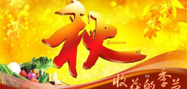 一点经验也没有，怎么开宠物店？ 无经验怎么开宠物店