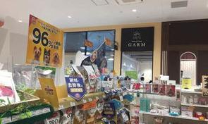 宠物用品店的进货渠道？（宠物用品店）