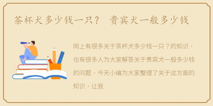 茶杯犬多少钱一只？ 贵宾犬一般多少钱