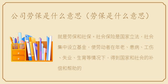公司劳保是什么意思（劳保是什么意思）