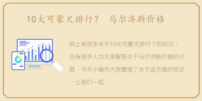 10大可蒙犬排行？ 马尔济斯价格