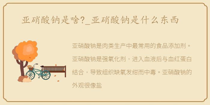亚硝酸钠是啥?_亚硝酸钠是什么东西