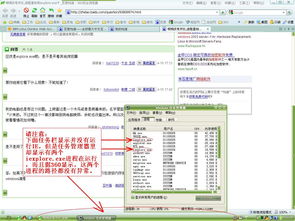 iexplore.exe是什么文件（windowsexplorer）