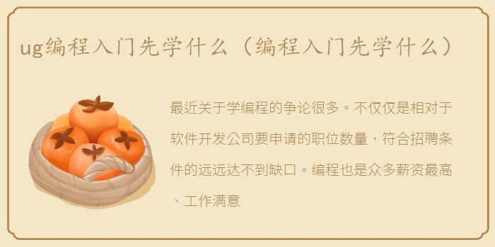 ug编程入门先学什么（编程入门先学什么）