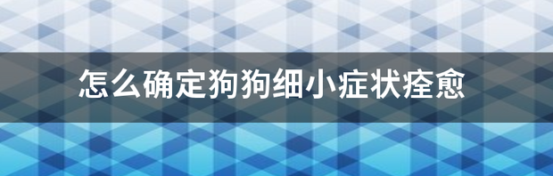 狗狗，细小，是什么症状？（细小症状）