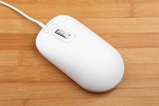 找不到支持windows的指纹识别器？（指纹鼠标）