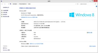 电脑插网线网速特别慢怎么办？（电脑网速慢是什么原因）