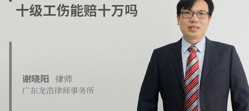 个人意外险20万十级伤残能赔多少？（十级伤残一般赔20万）