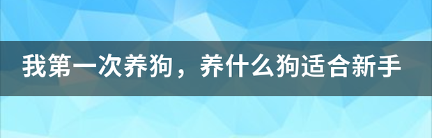 哪种狗又可爱又便宜又长不大又乖？（新手女生适合养什么狗）