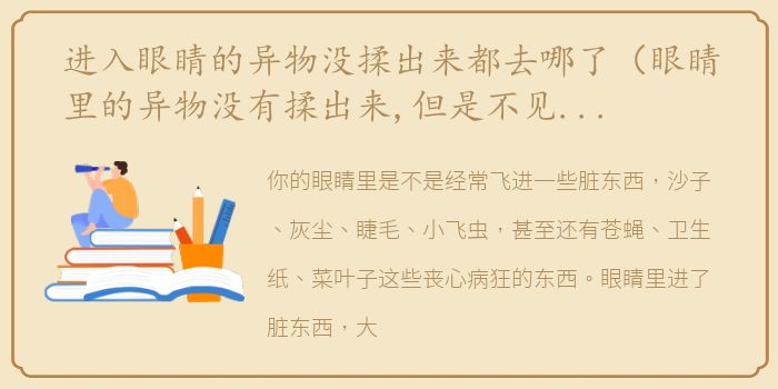 进入眼睛的异物没揉出来都去哪了（眼睛里的异物没有揉出来,但是不见了,它去了哪里）