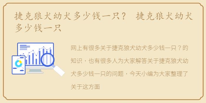 捷克狼犬幼犬多少钱一只？ 捷克狼犬幼犬多少钱一只