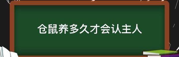 仓鼠养多久才会认主人 仓鼠一般养多久认主人
