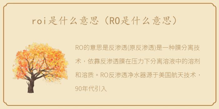 roi是什么意思（RO是什么意思）