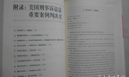 刑事诉讼法113全文？（刑事诉讼法全文）