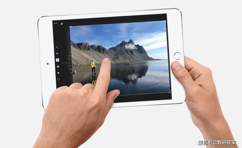 苹果ipadmini怎么打电话？（ipadmini能打电话吗）