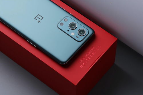 一加9和一加9pro屏幕尺寸差多少？（一加9和一加9pro区别）