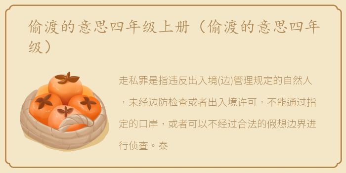 偷渡的意思四年级上册（偷渡的意思四年级）