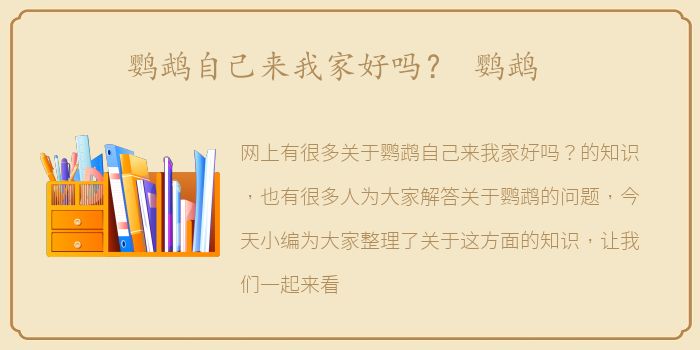鹦鹉自己来我家好吗？ 鹦鹉