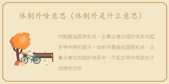 体制外啥意思（体制外是什么意思）