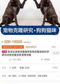 购买猫咪在哪个平台才靠谱(买猫在哪个平台比较好)（买宠物在哪个平台买比较好）