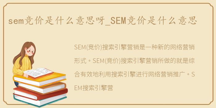 sem竞价是什么意思呀_SEM竞价是什么意思