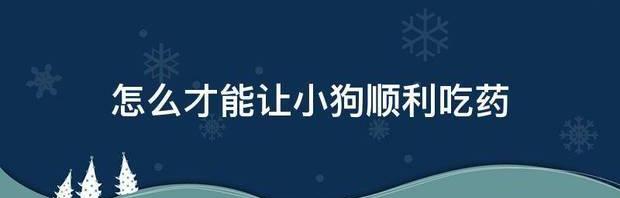 狗狗交配一次会怀孕吗？ 怎么顺利的让狗狗上自己