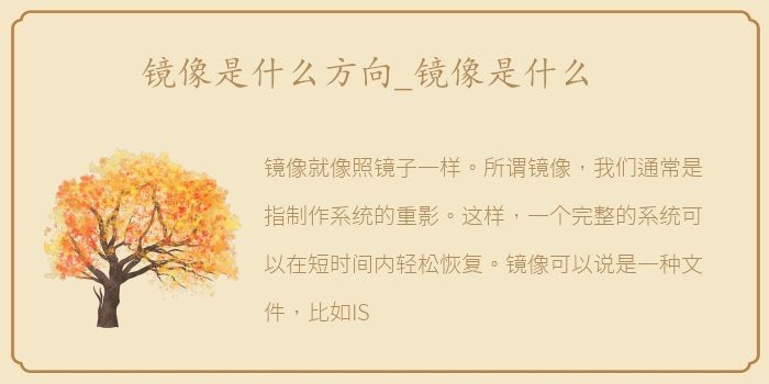 镜像是什么方向_镜像是什么