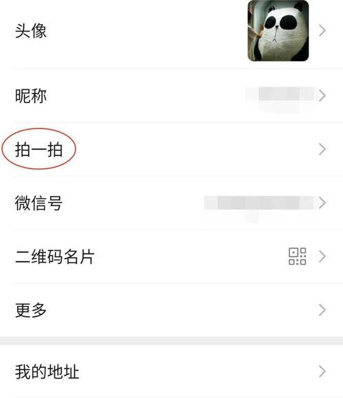 微信拍一拍是什么意思（拍一拍微信）
