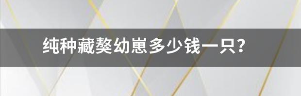 藏獒有下一只小仔的吗？ 藏獒幼崽300元一只