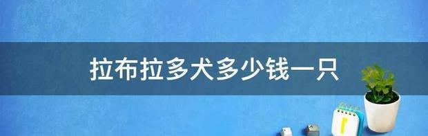 拉布拉多1-12月体重表？ 拉布拉多犬价格表