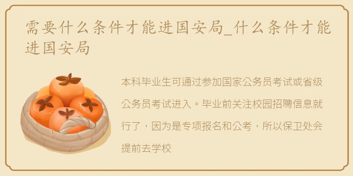 需要什么条件才能进国安局_什么条件才能进国安局
