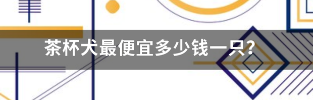 茶杯犬多钱一只？ 茶杯犬多少钱一只 最低