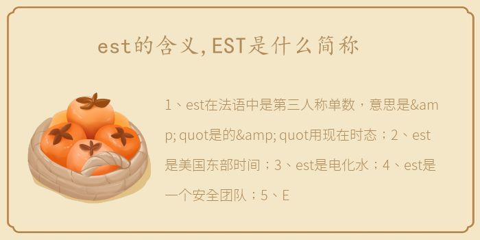 est的含义,EST是什么简称