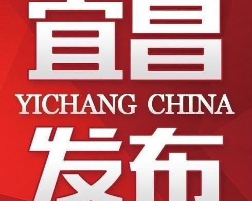 汪周雨出生_汪周雨