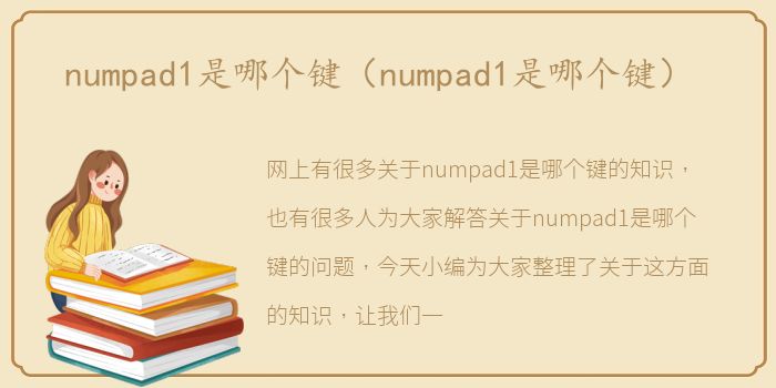 numpad1是哪个键（numpad1是哪个键）