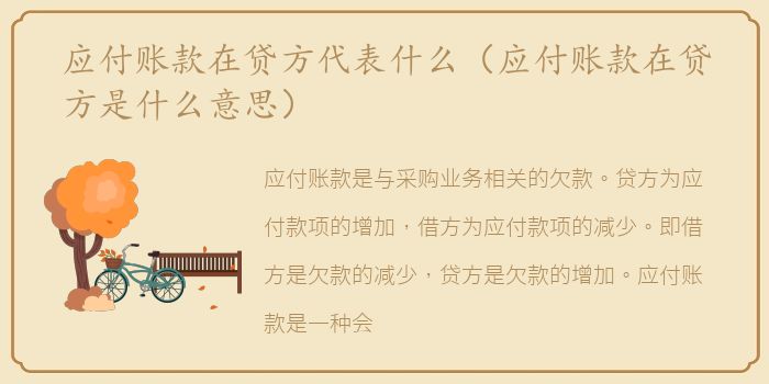 应付账款在贷方代表什么（应付账款在贷方是什么意思）