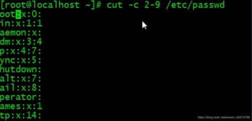 linux windows（windows和linux服务器哪个好？）