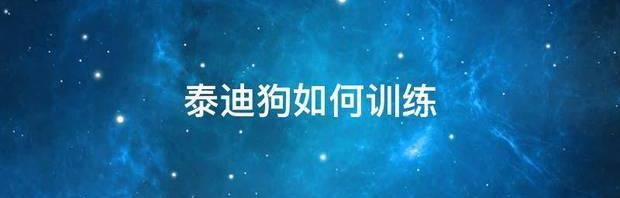 泰迪多大才会听话？（泰迪狗怎么训练）