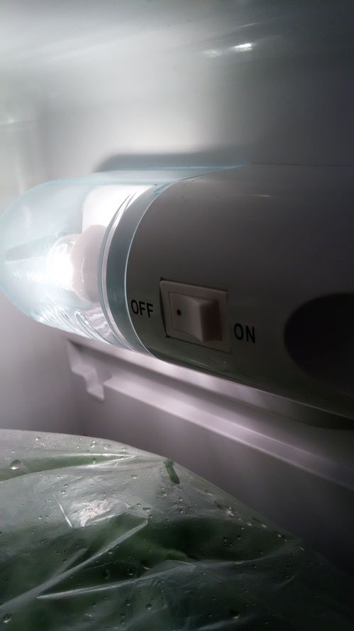 冰箱里的开关一和0是什么意思？（冰箱低温补偿开关）