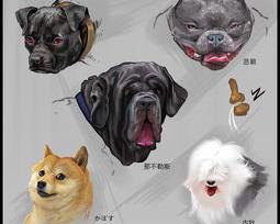 好听的宠物名称？（宠物大全）