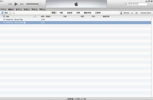 itunes怎么设置铃声（苹果13怎么用下载的音乐设置铃声？）
