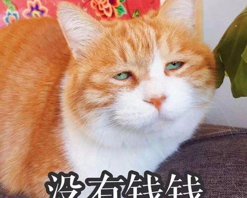 l98O年婚姻法全文？（婚姻法全文最新版本）