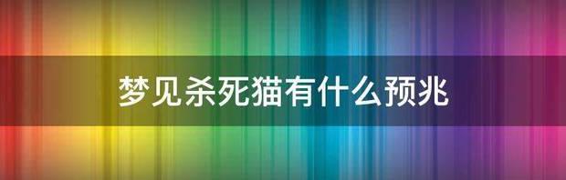 野猫死前有什么反应？（猫想杀死你的前兆）