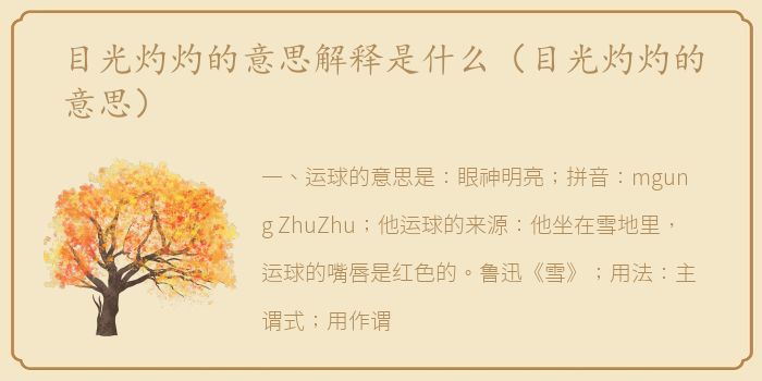 目光灼灼的意思解释是什么（目光灼灼的意思）